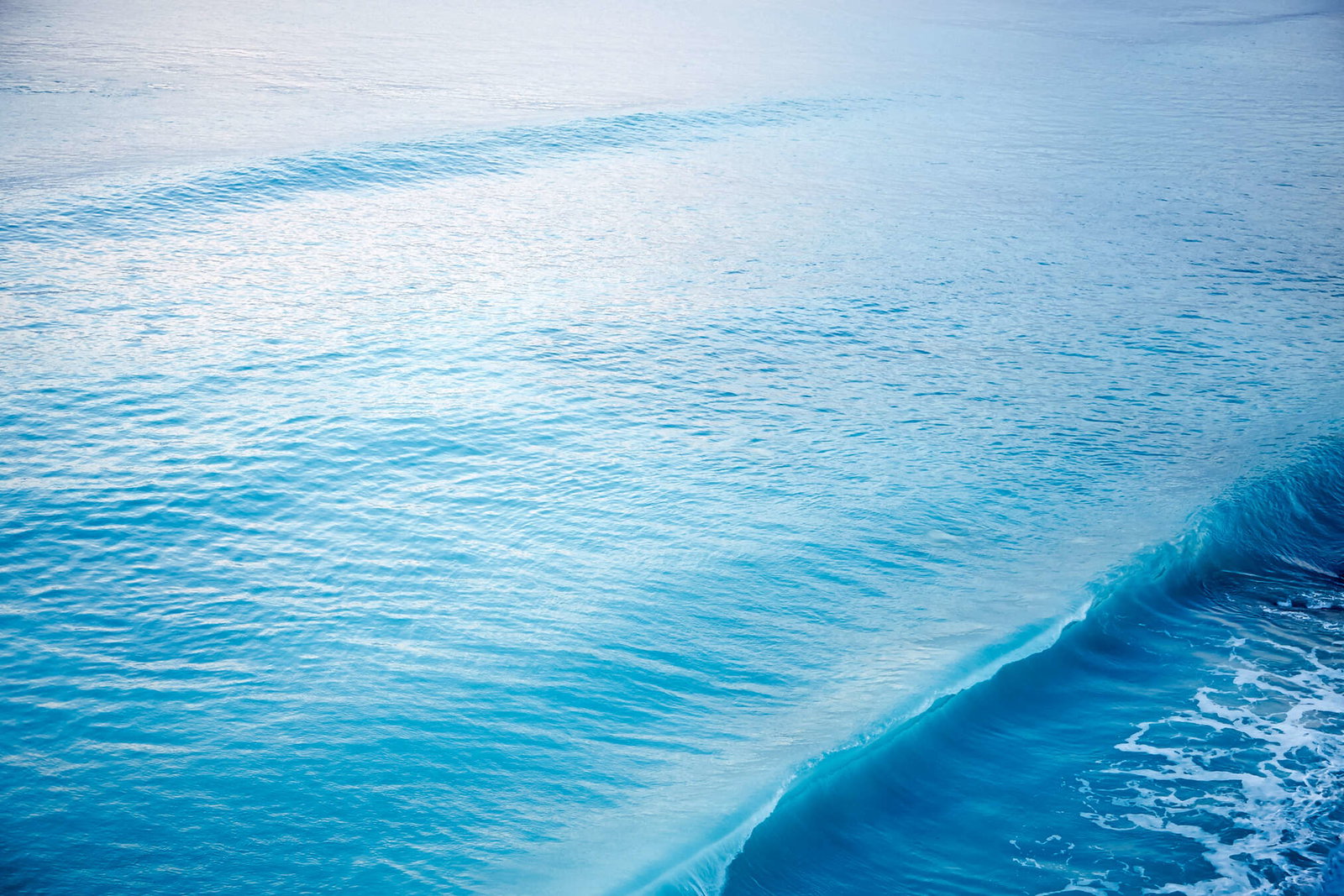 Architects Paper impression numérique AP Digital 2