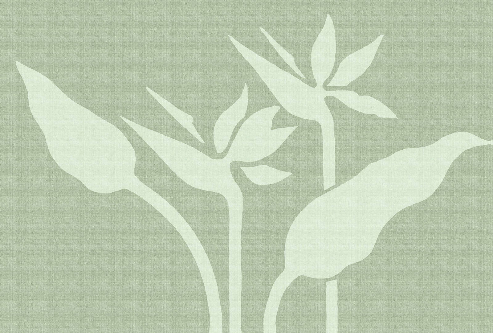 walls by patel Photo wallpaper Walls by Patel 5