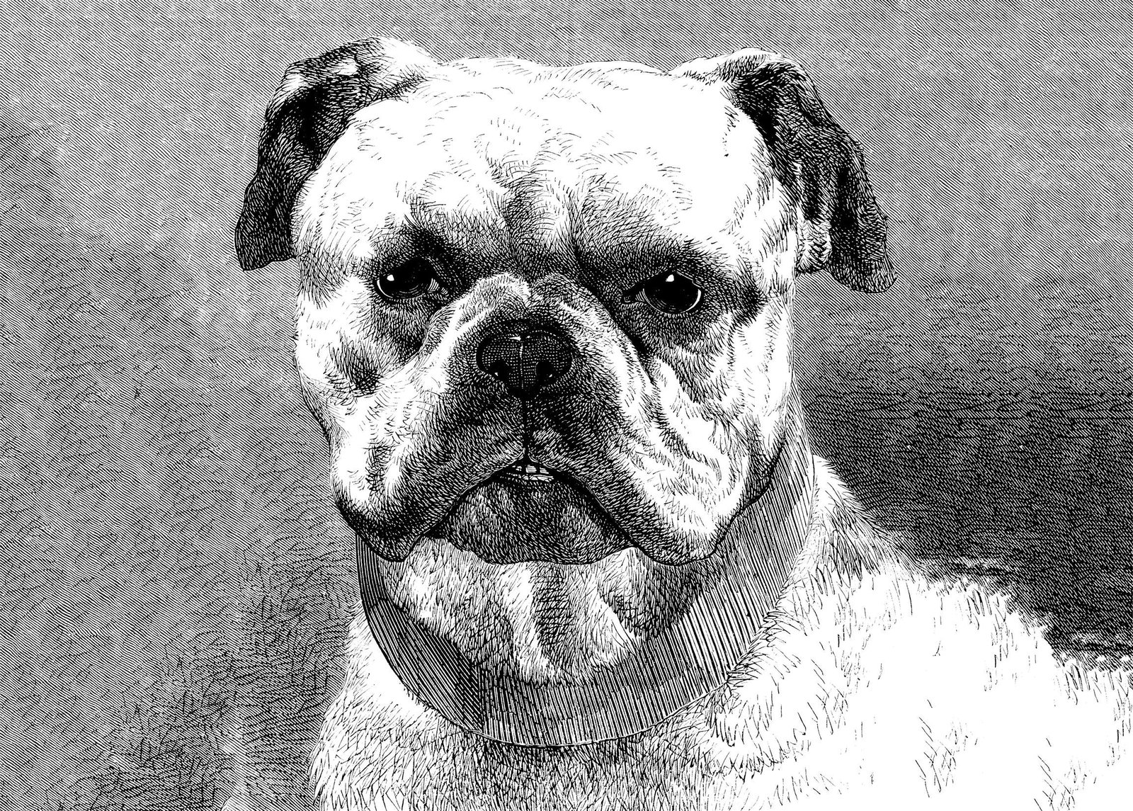 Architects Paper Fototapete AP Digital 4