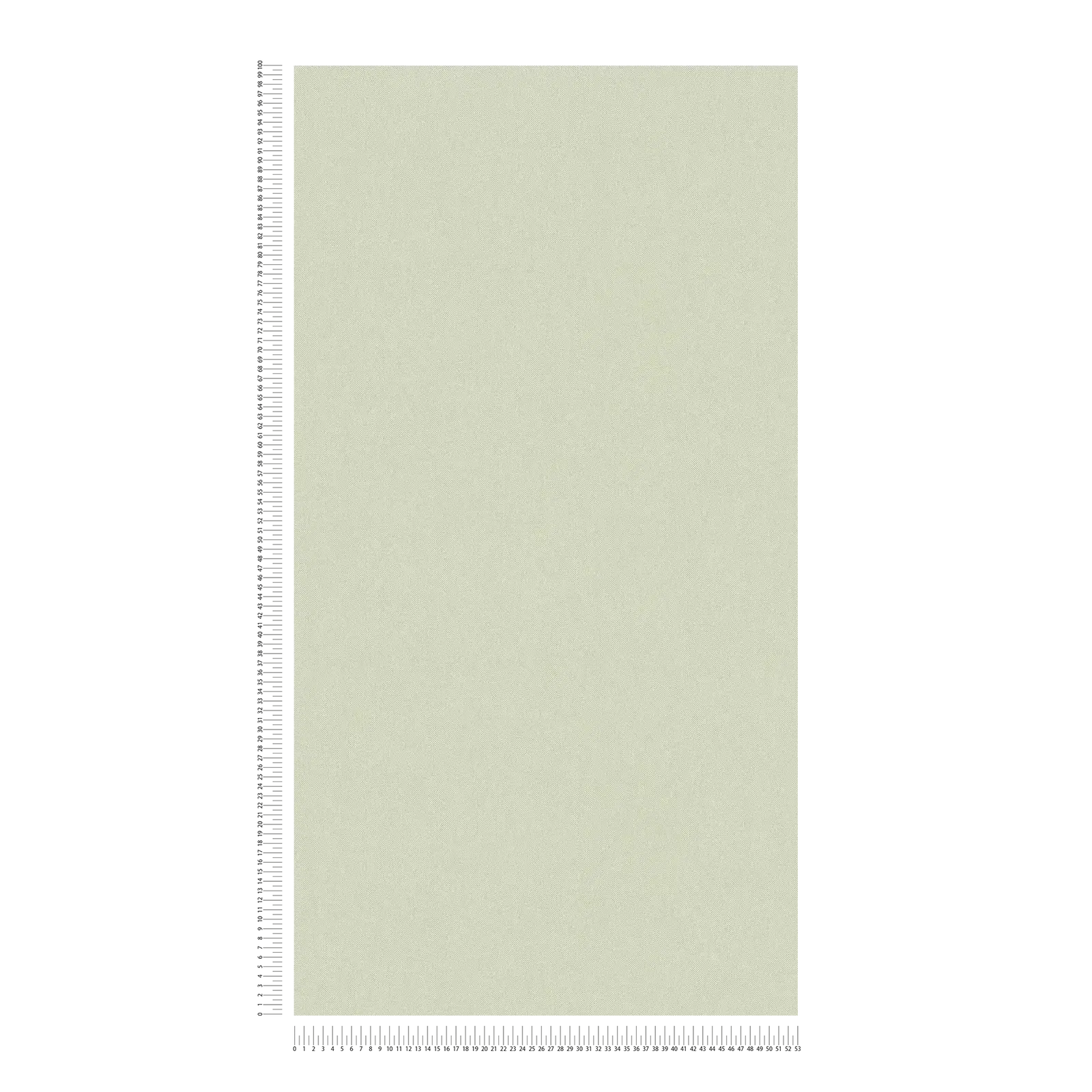 Architects Paper Wallpaper Jungle Chic