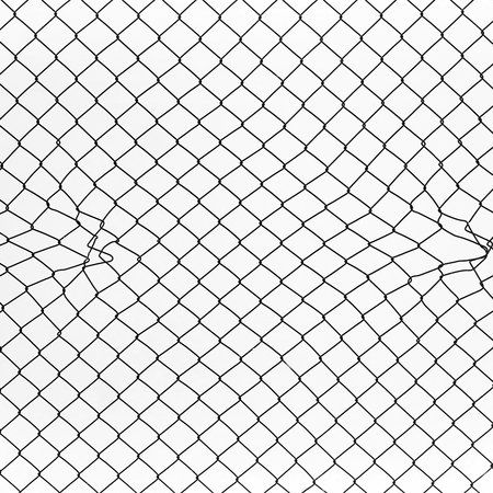 Architects Paper Photo wallpaper AP Digital 3