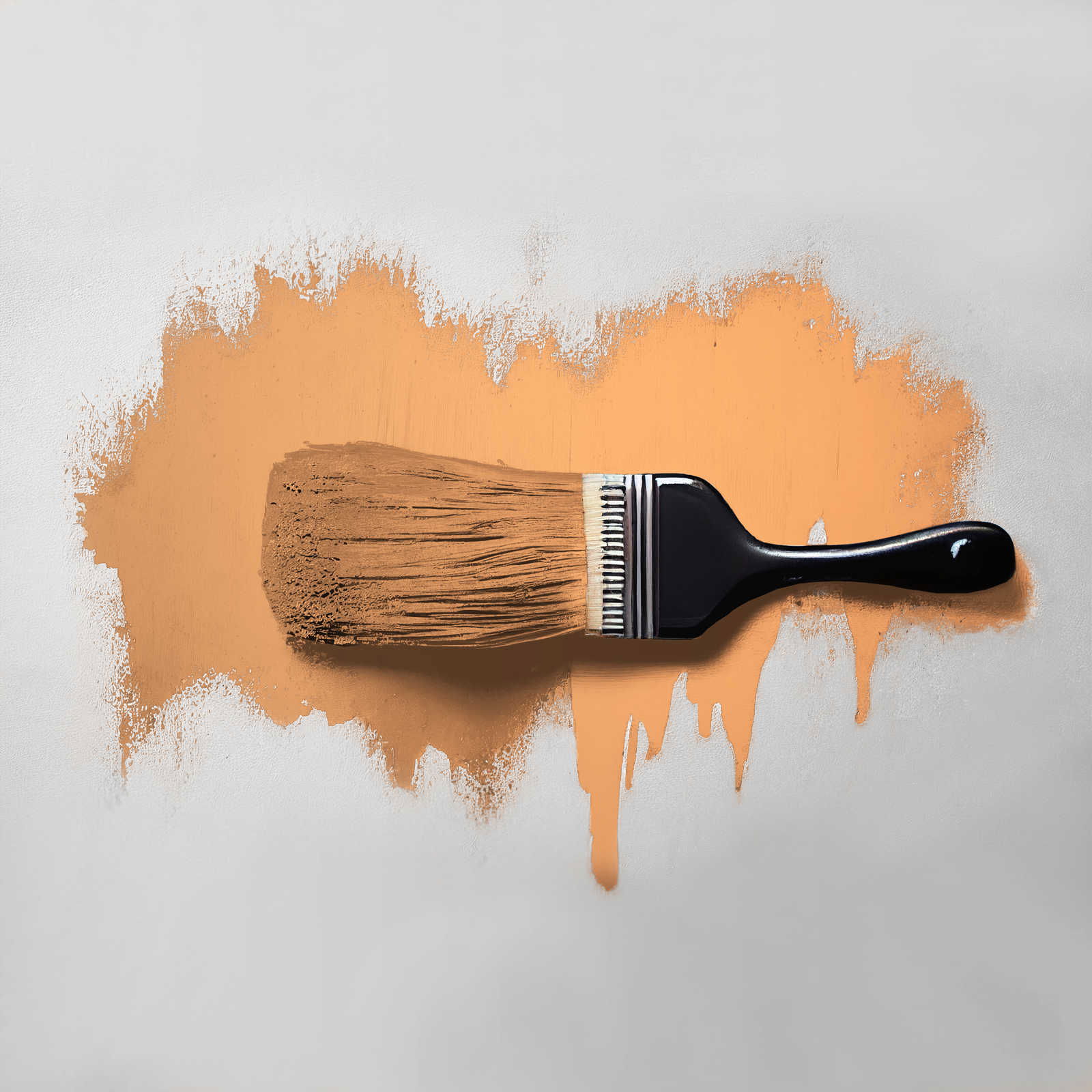 The Color Kitchen Couleur Color Kitchen