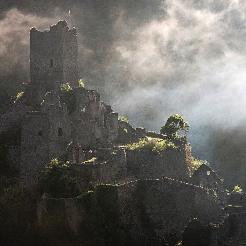 livingwalls Fototapete XXLwallpaper 2 livingwalls Fototapete XXLwallpaper 2