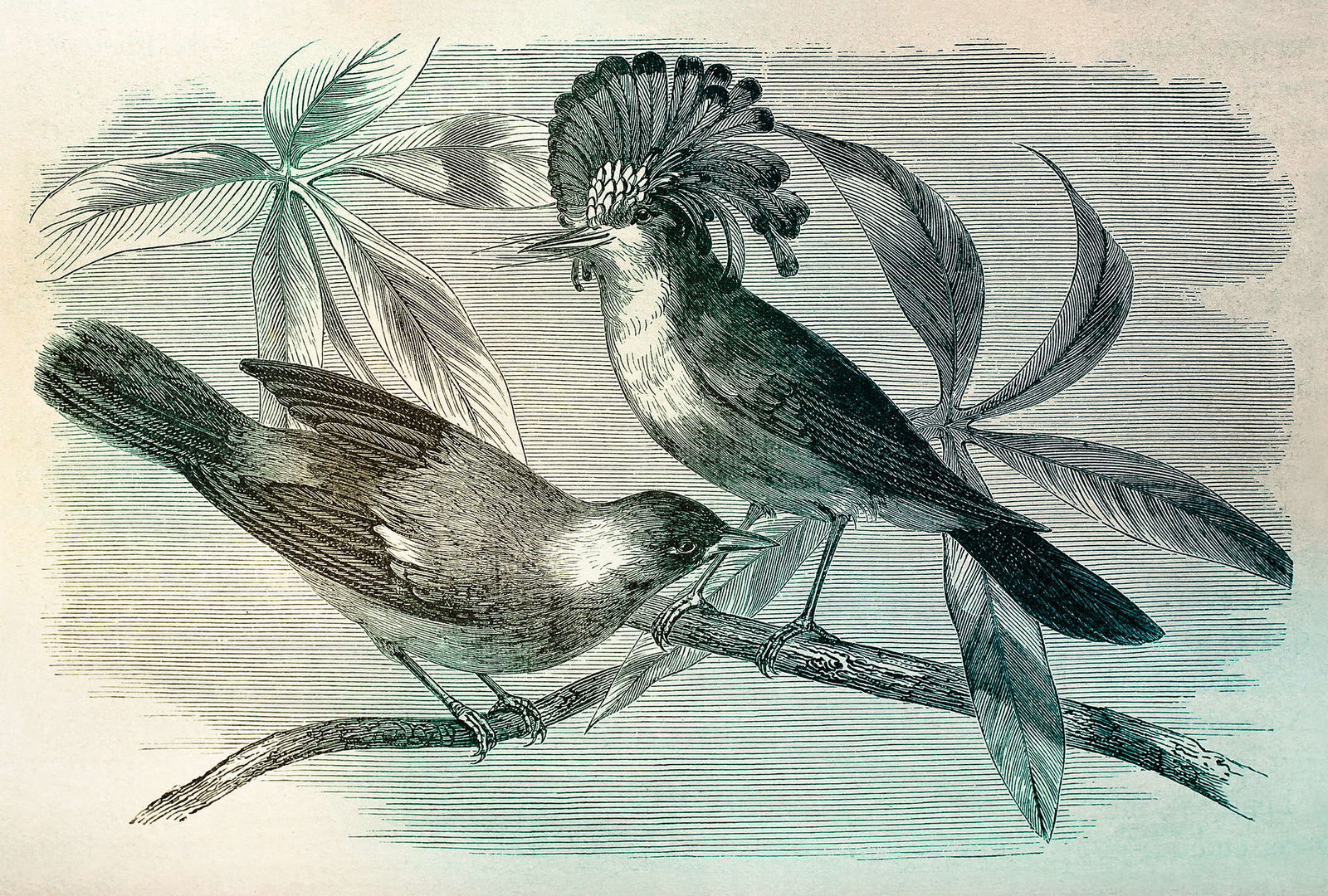 walls by patel impression numérique Walls by Patel