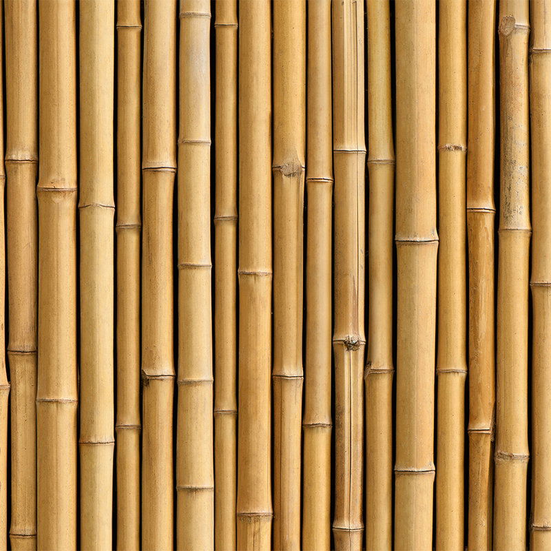 livingwalls Photo wallpaper XXLwallpaper 3