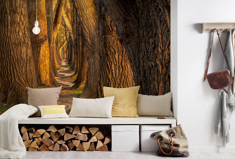 Architects Paper Fototapete AP Digital 4