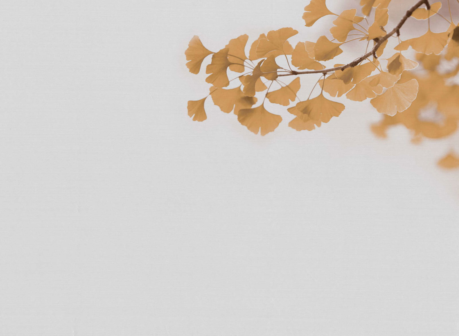 livingwalls Photo wallpaper Designwalls 2