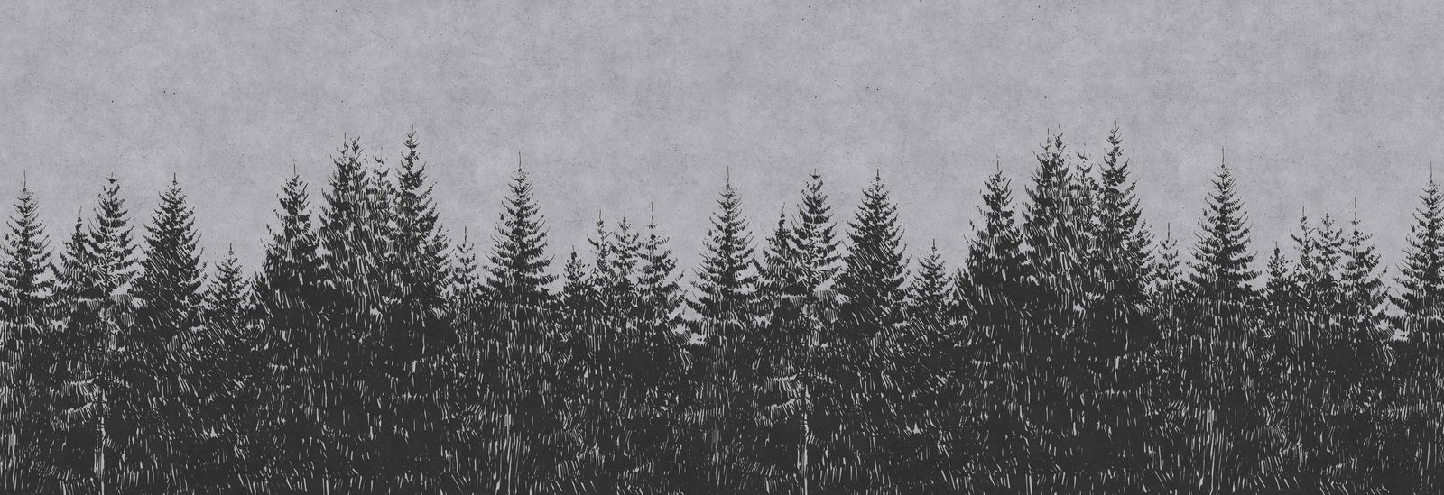 walls by patel impression numérique Walls by Patel