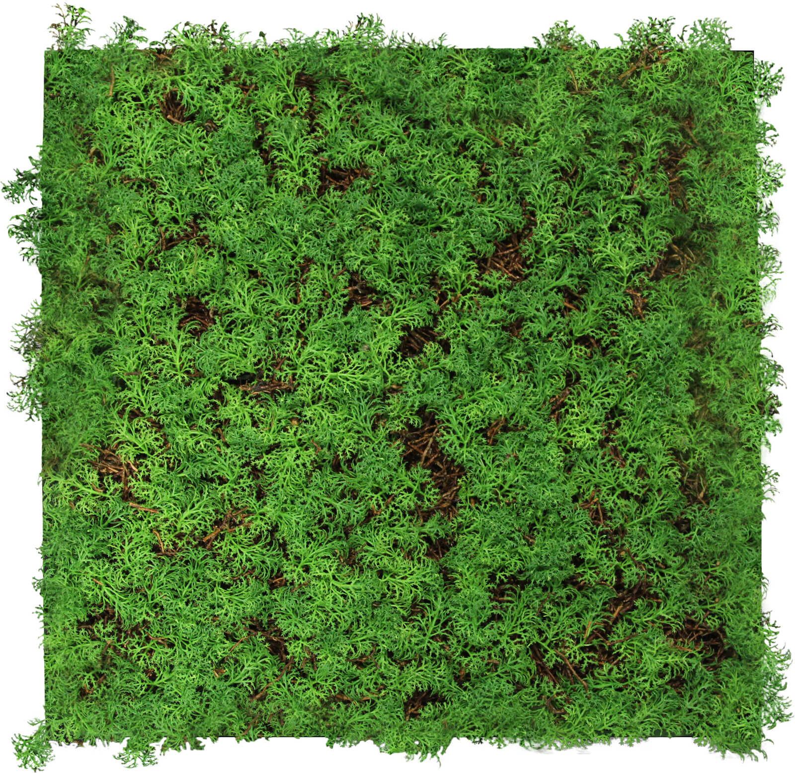 A.S. Création Wandpaneel Modular Wall