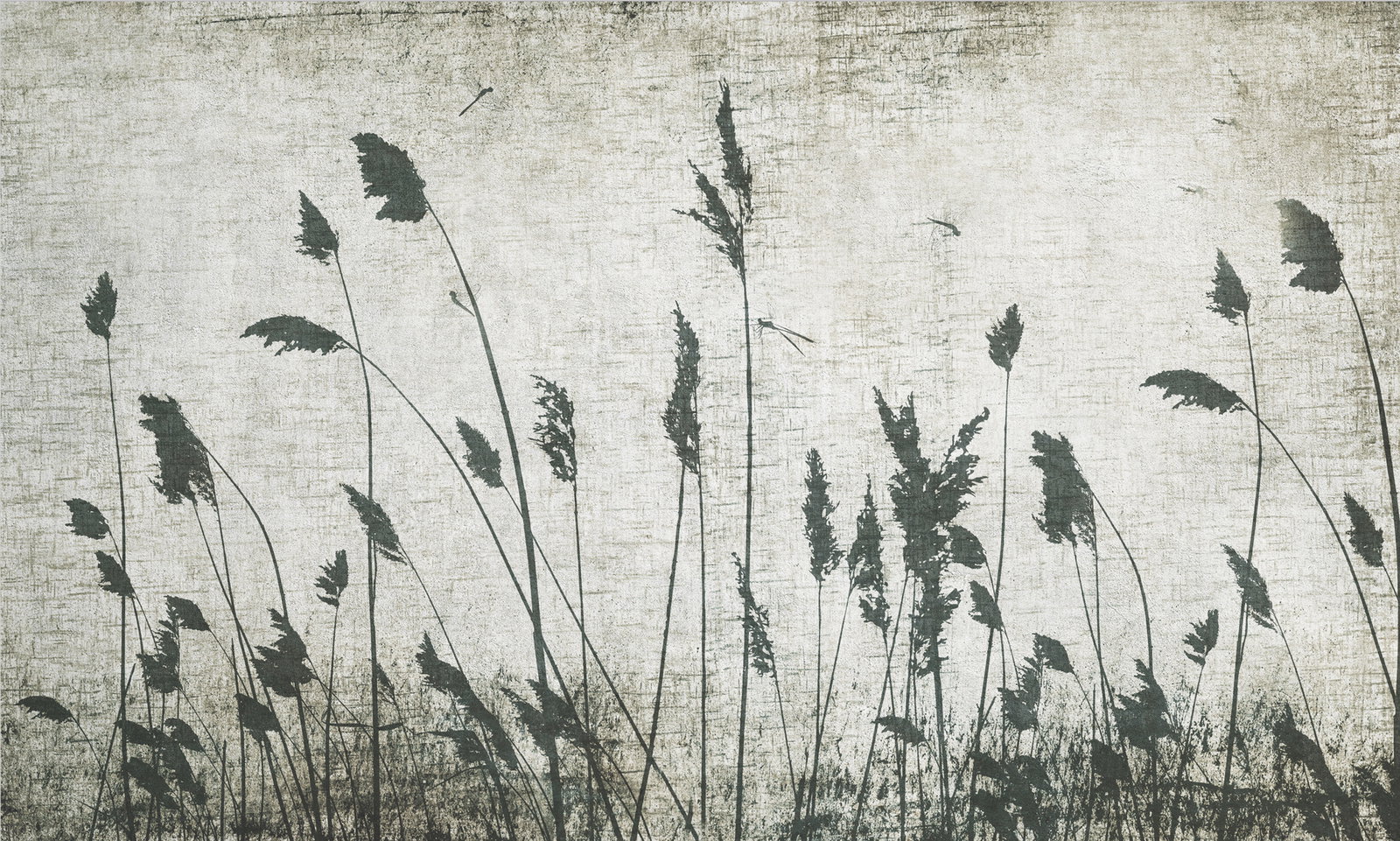 Architects Paper Fotobehang AP Contract