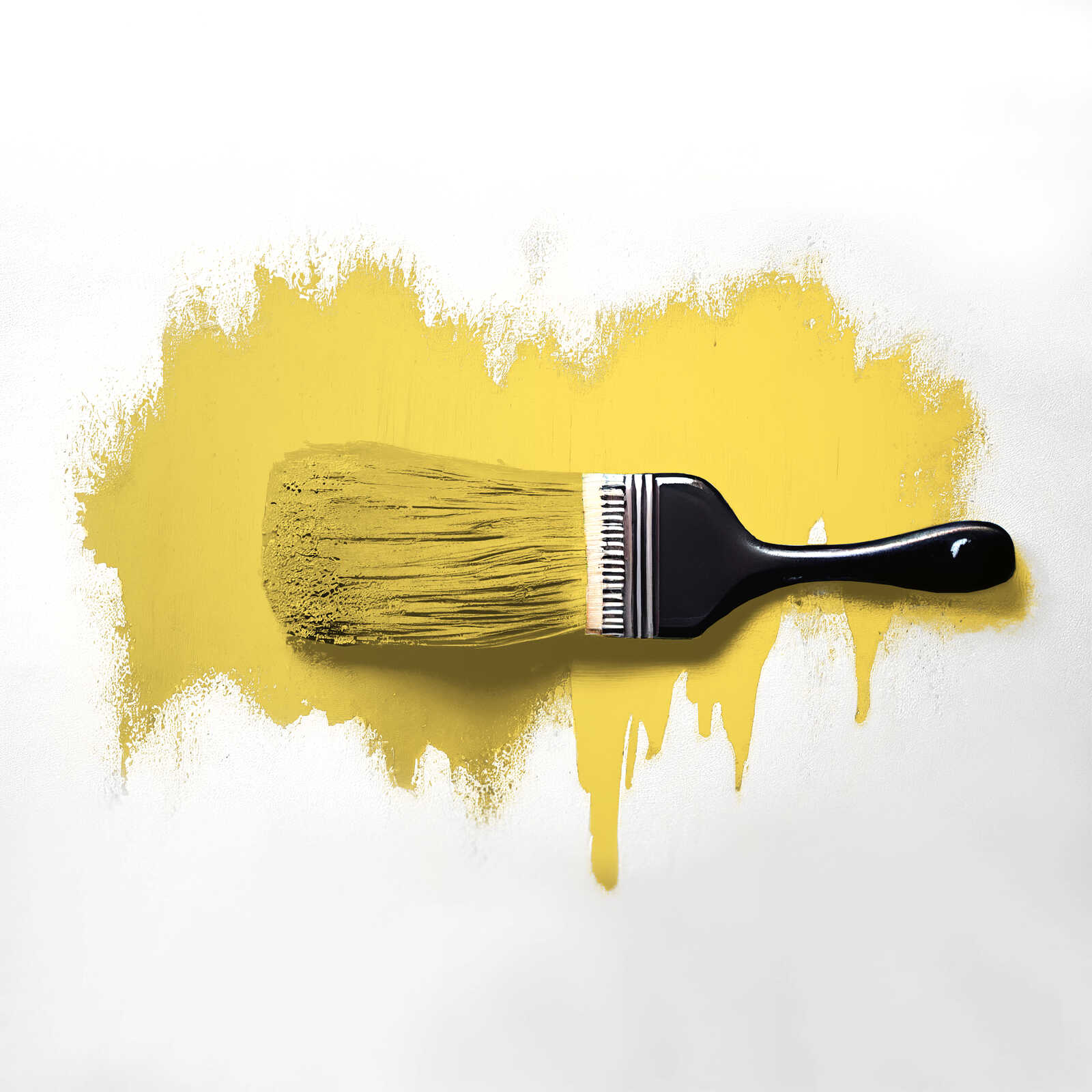 The Color Kitchen Farbe Color Kitchen