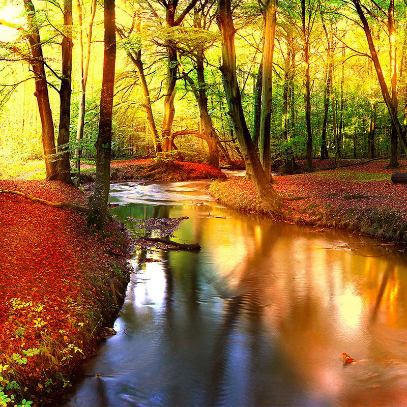 livingwalls Fotobehang Nature