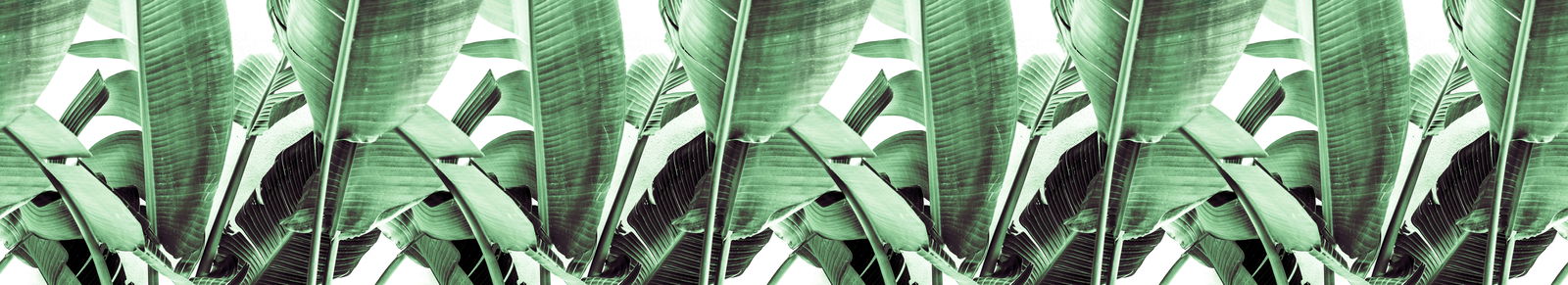 livingwalls Fototapete Designwalls 2