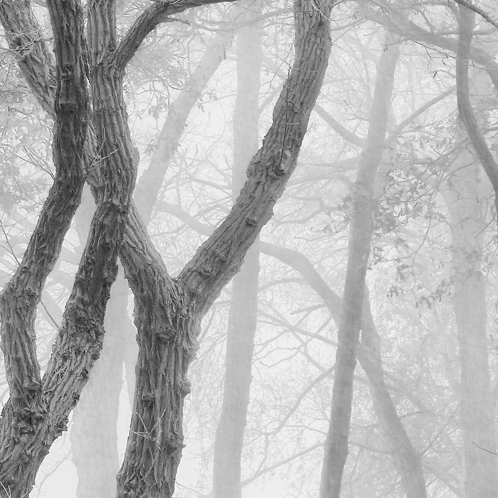 Architects Paper Fototapete AP Digital 4 Architects Paper Fototapete AP Digital 4