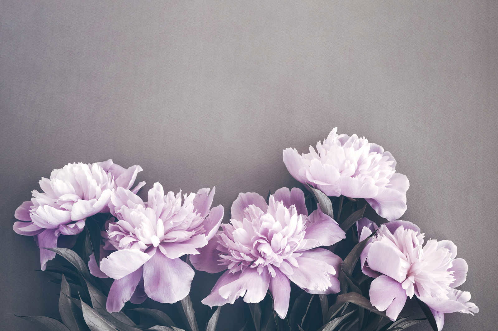 livingwalls Canvas print Designwalls 2