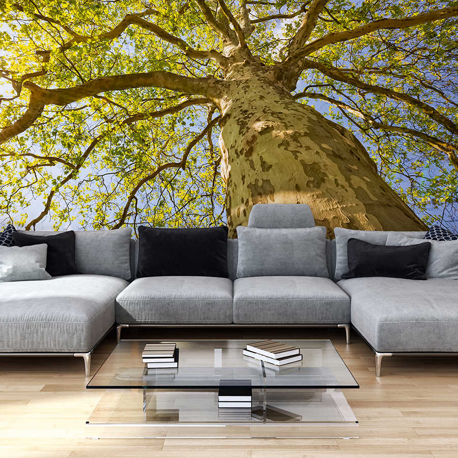 livingwalls Fotobehang XXLwallpaper 2