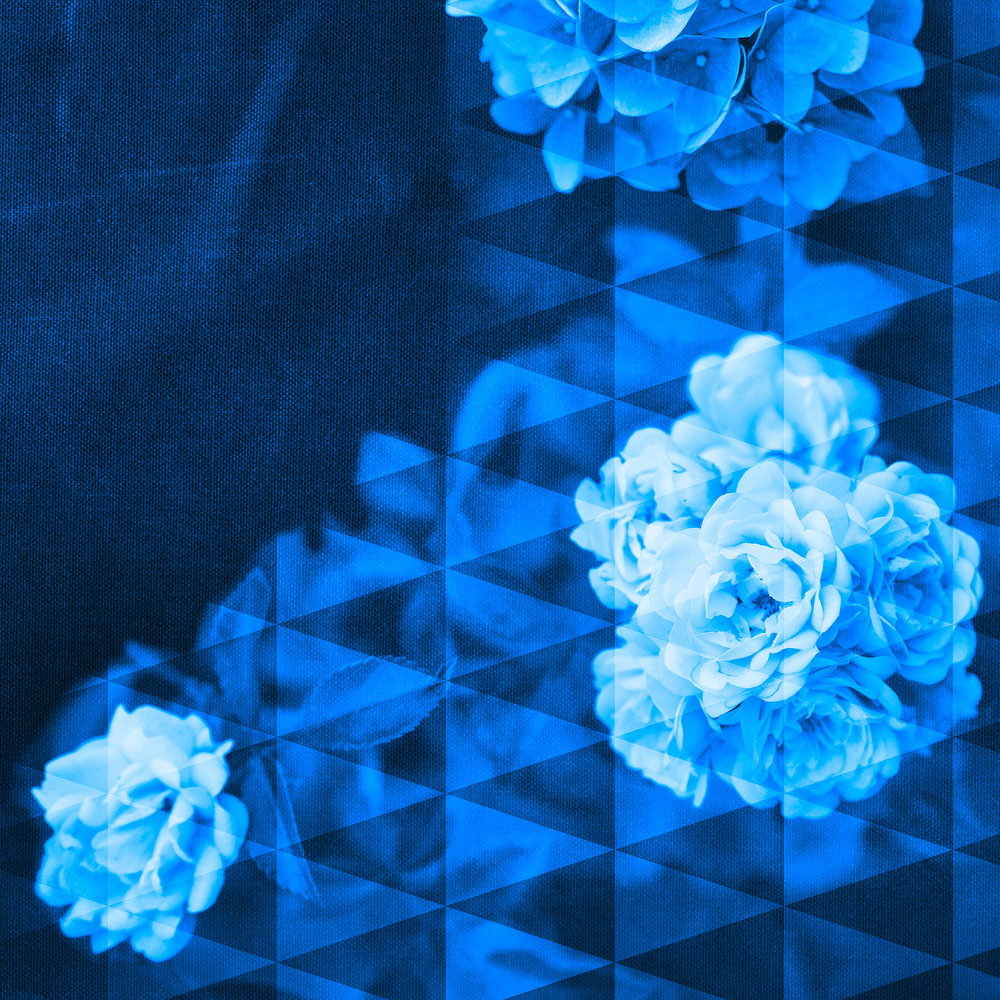 Architects Paper Fototapete AP Digital 4