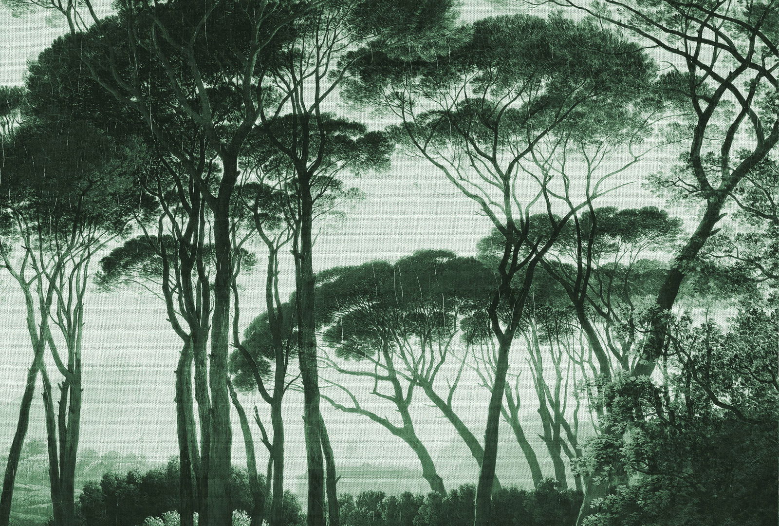 Architects Paper Fototapete Atelier 47