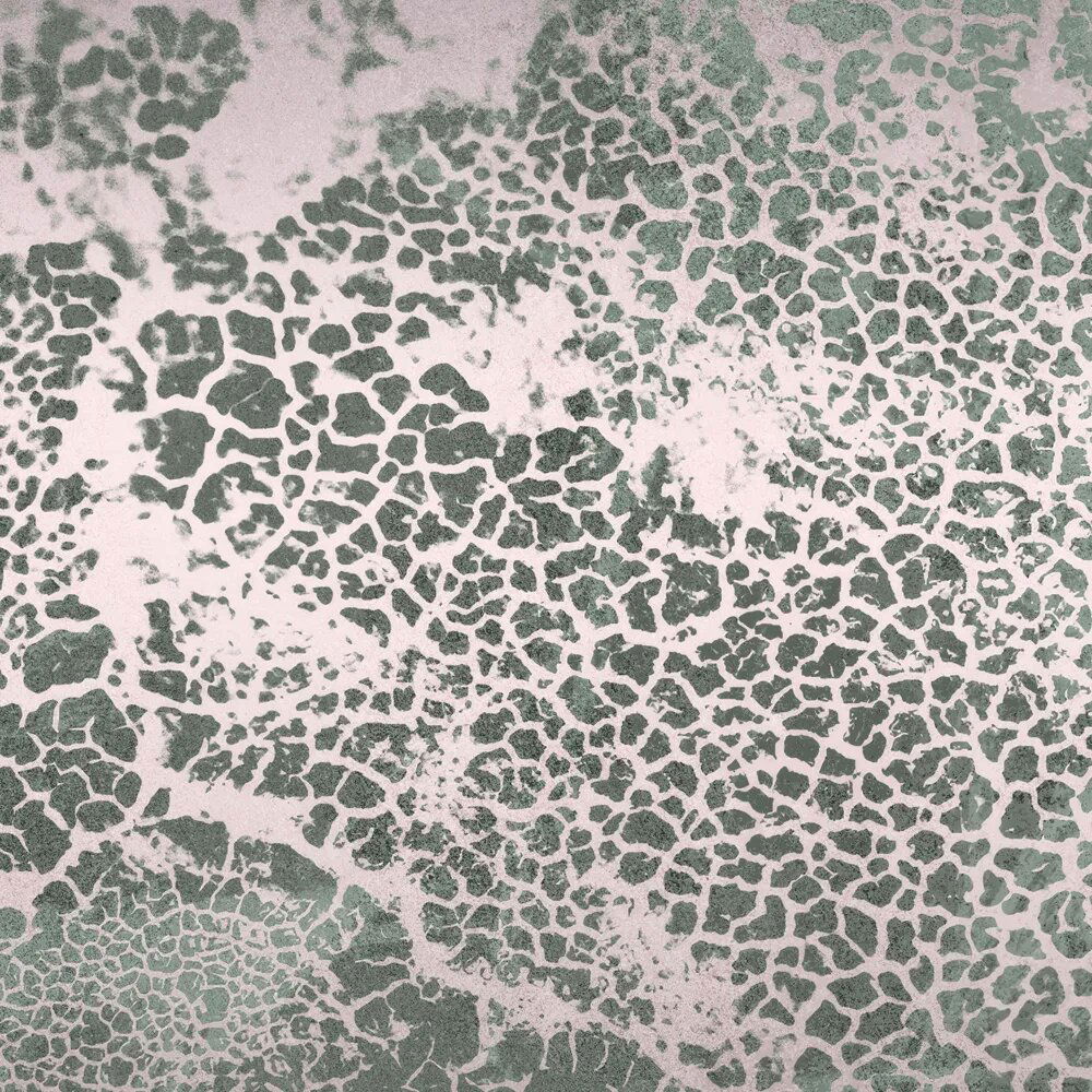 walls by patel Fotobehang Walls by Patel 5