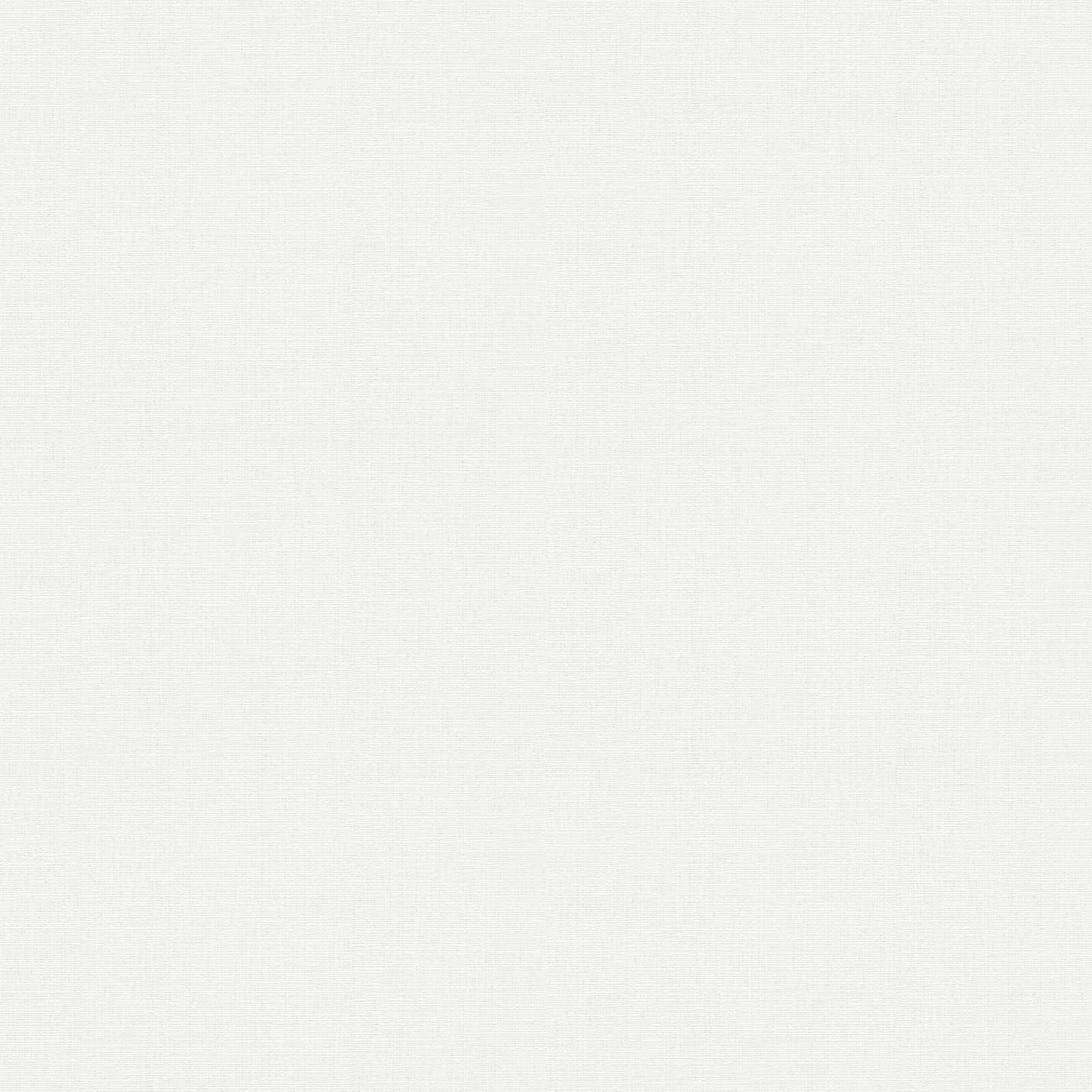 A.S. Création Обои Meistervlies Create A.S. Création Обои Meistervlies Create