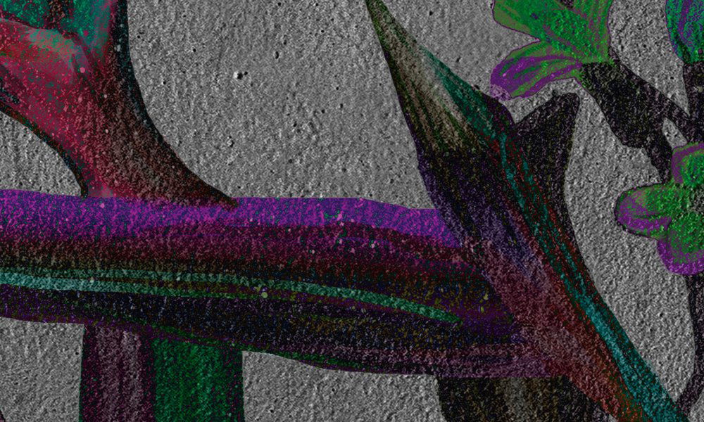 walls by patel impression numérique Walls by Patel