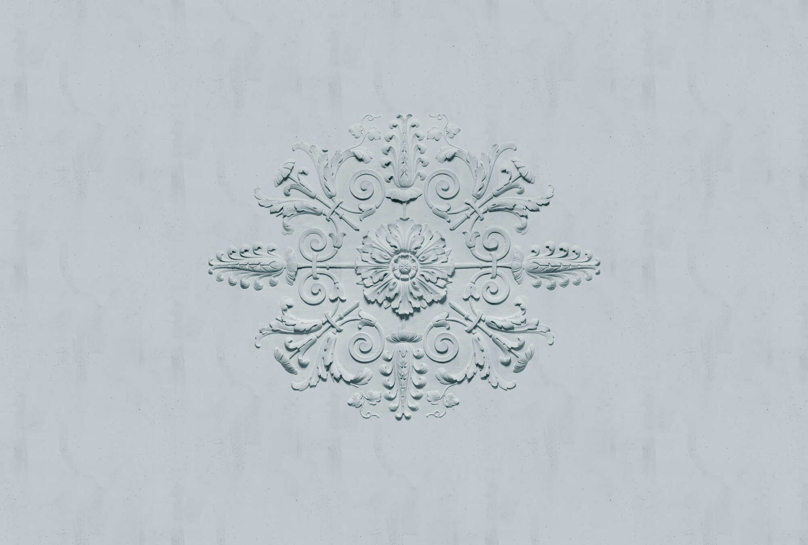 walls by patel Photo wallpaper Walls by Patel 5