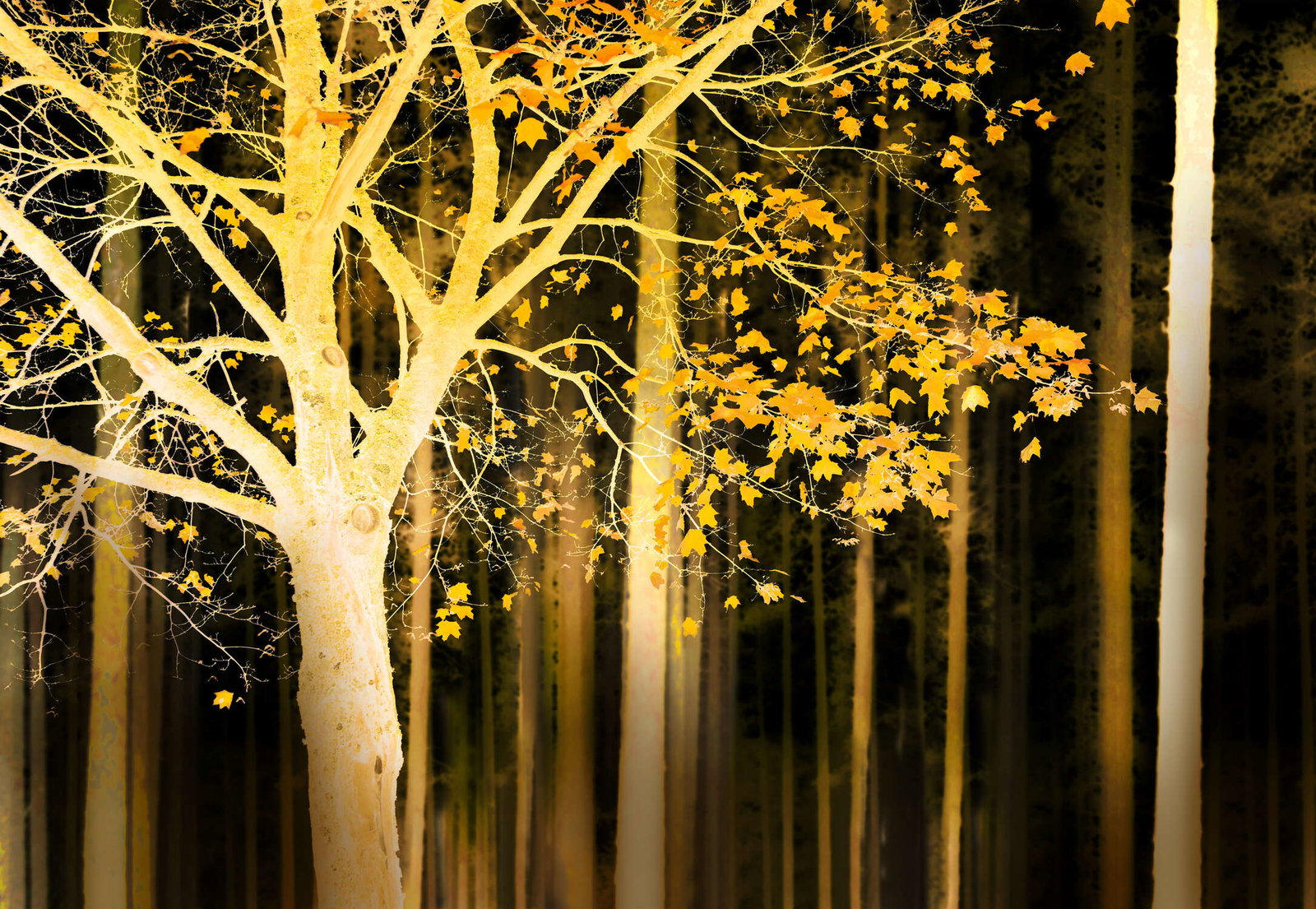 Architects Paper Fototapete AP Digital 4