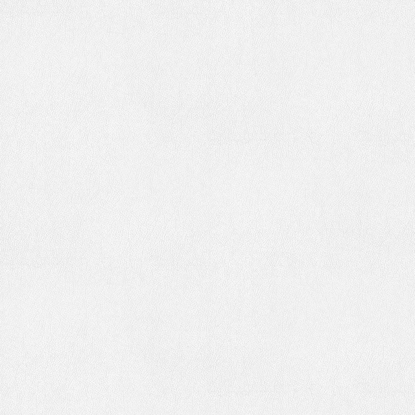 A.S. Création Tapete Meistervlies Create