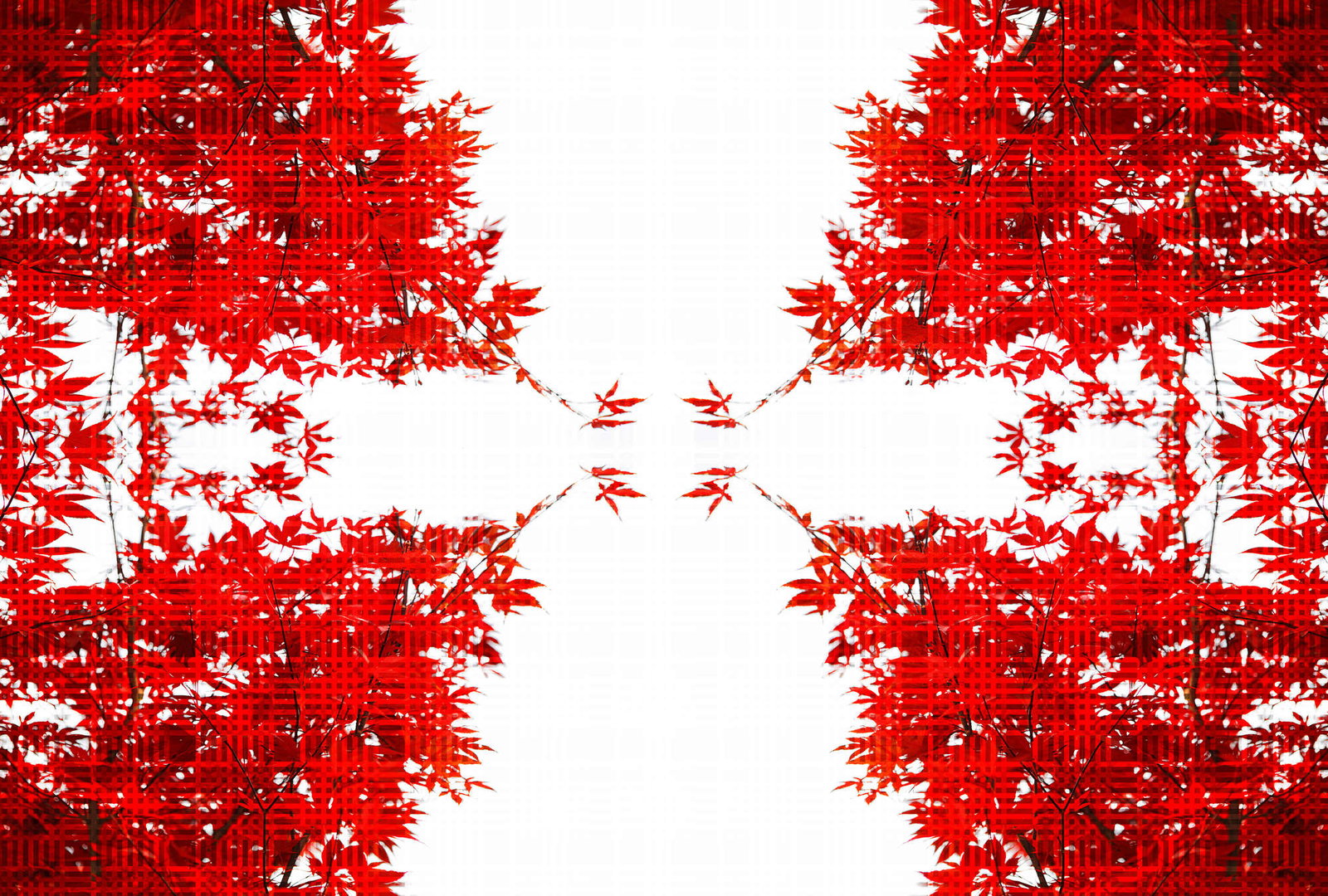 Architects Paper Fototapete AP Digital 4