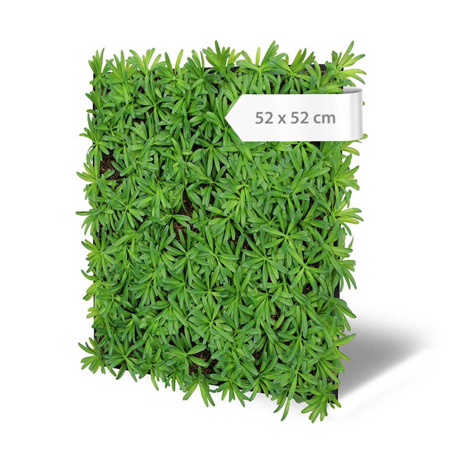 A.S. Création Wandpaneel Modular Wall