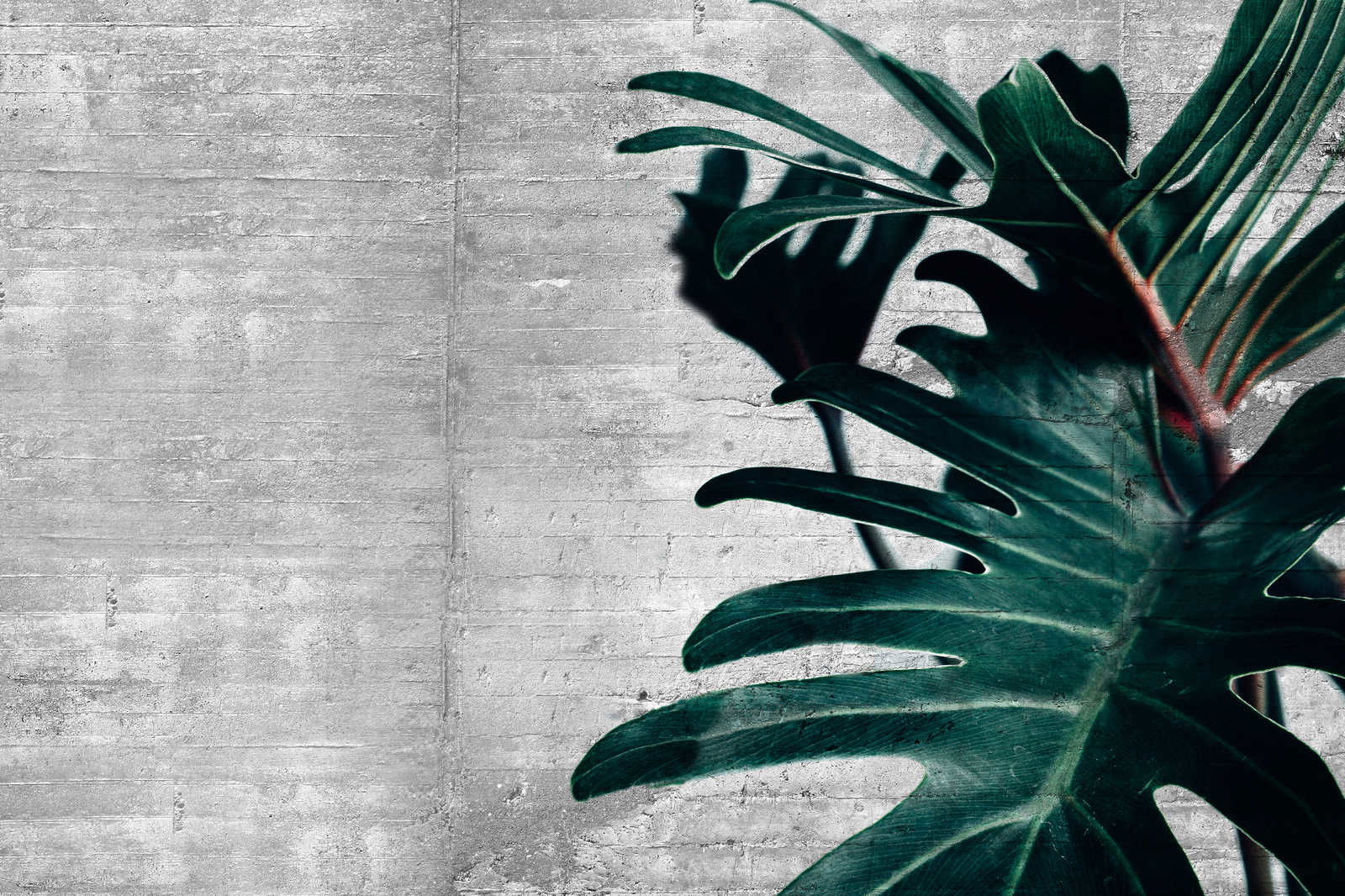 livingwalls tableau sur toile Designwalls 2 livingwalls tableau sur toile Designwalls 2