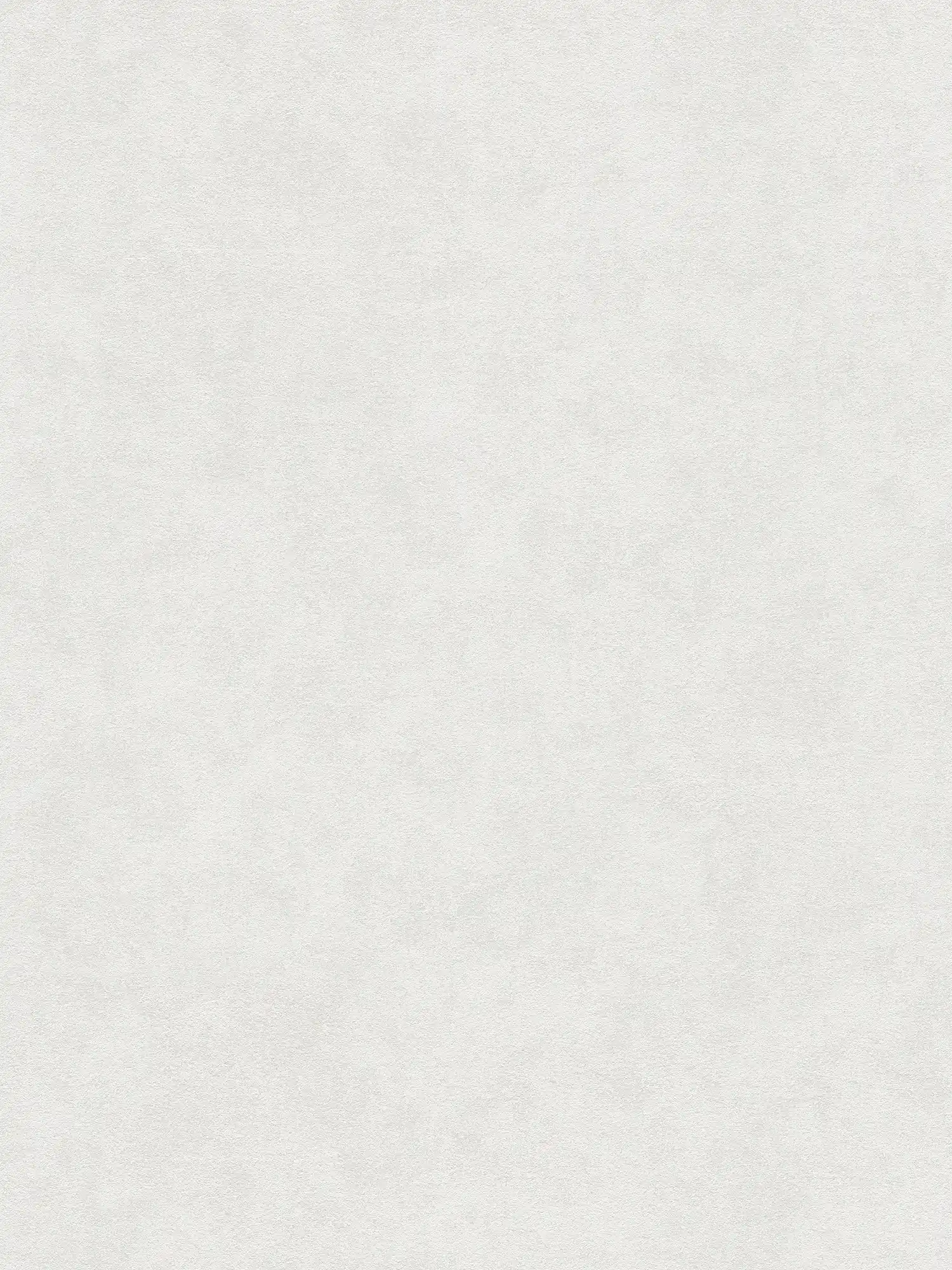 A.S. Création papier peint Attractive 3