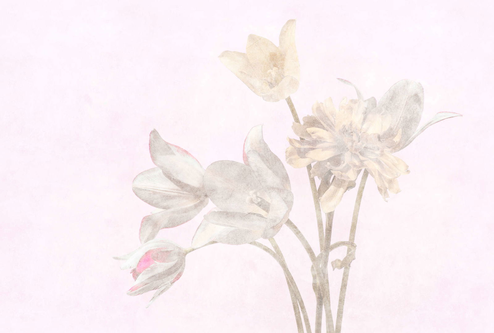 walls by patel Photo wallpaper Walls by Patel 3 walls by patel Photo wallpaper Walls by Patel 3