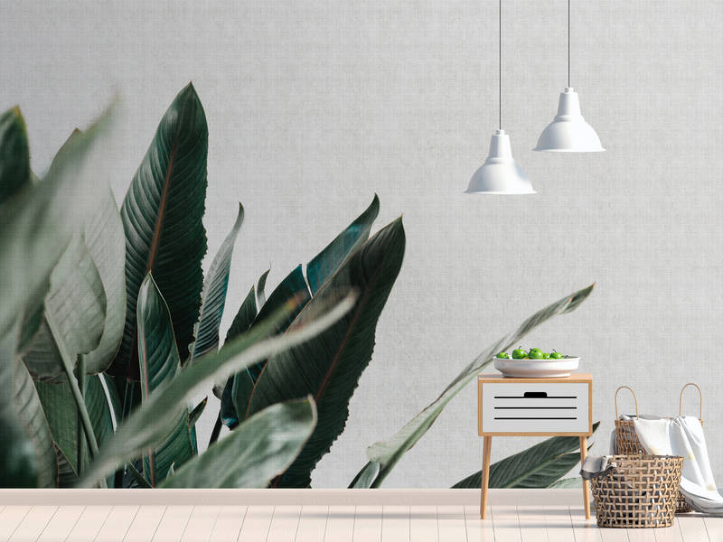 walls by patel Photo wallpaper Walls by Patel 2