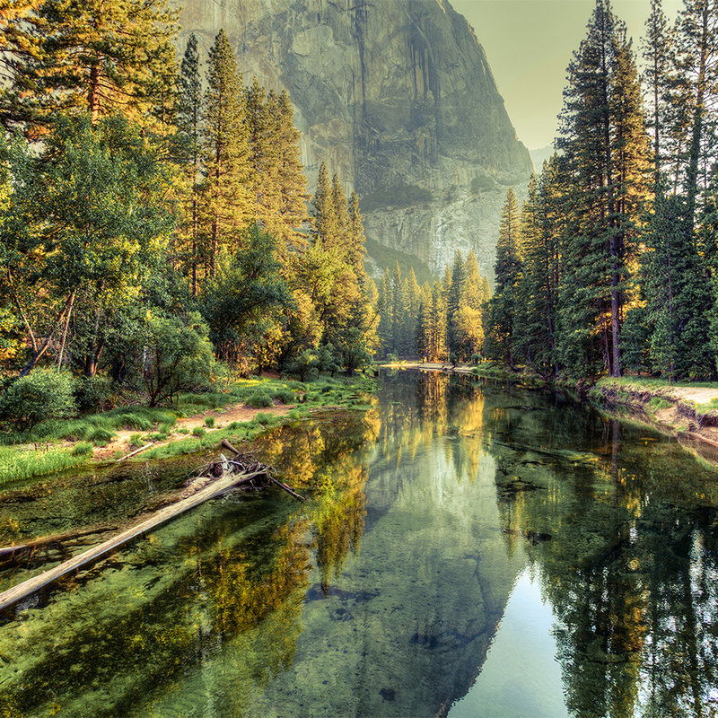 livingwalls Fotobehang Designwalls