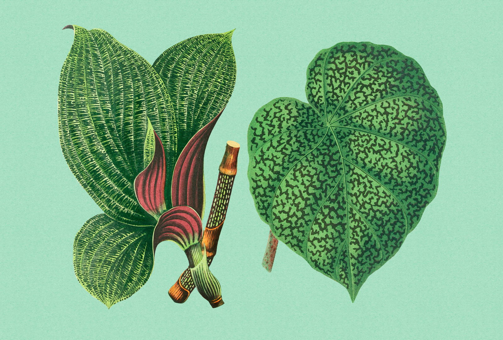 walls by patel Fototapete Walls by Patel 3