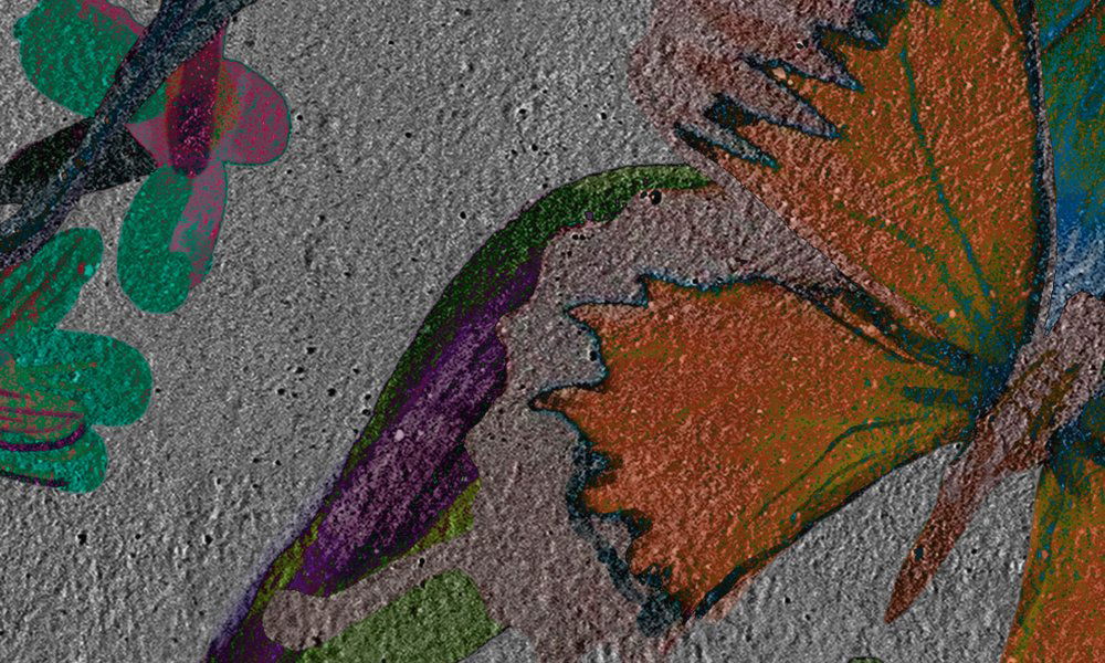 walls by patel Photo wallpaper Walls by Patel