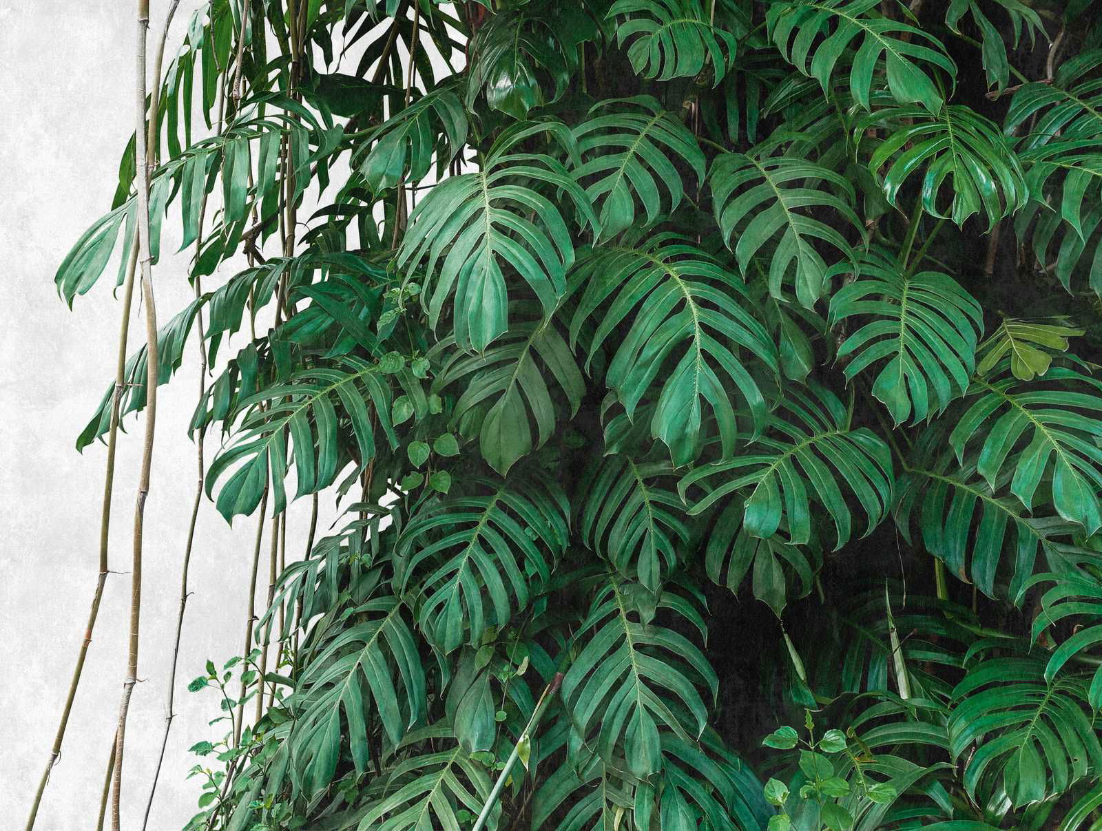 livingwalls Обои THE WALL livingwalls Обои THE WALL