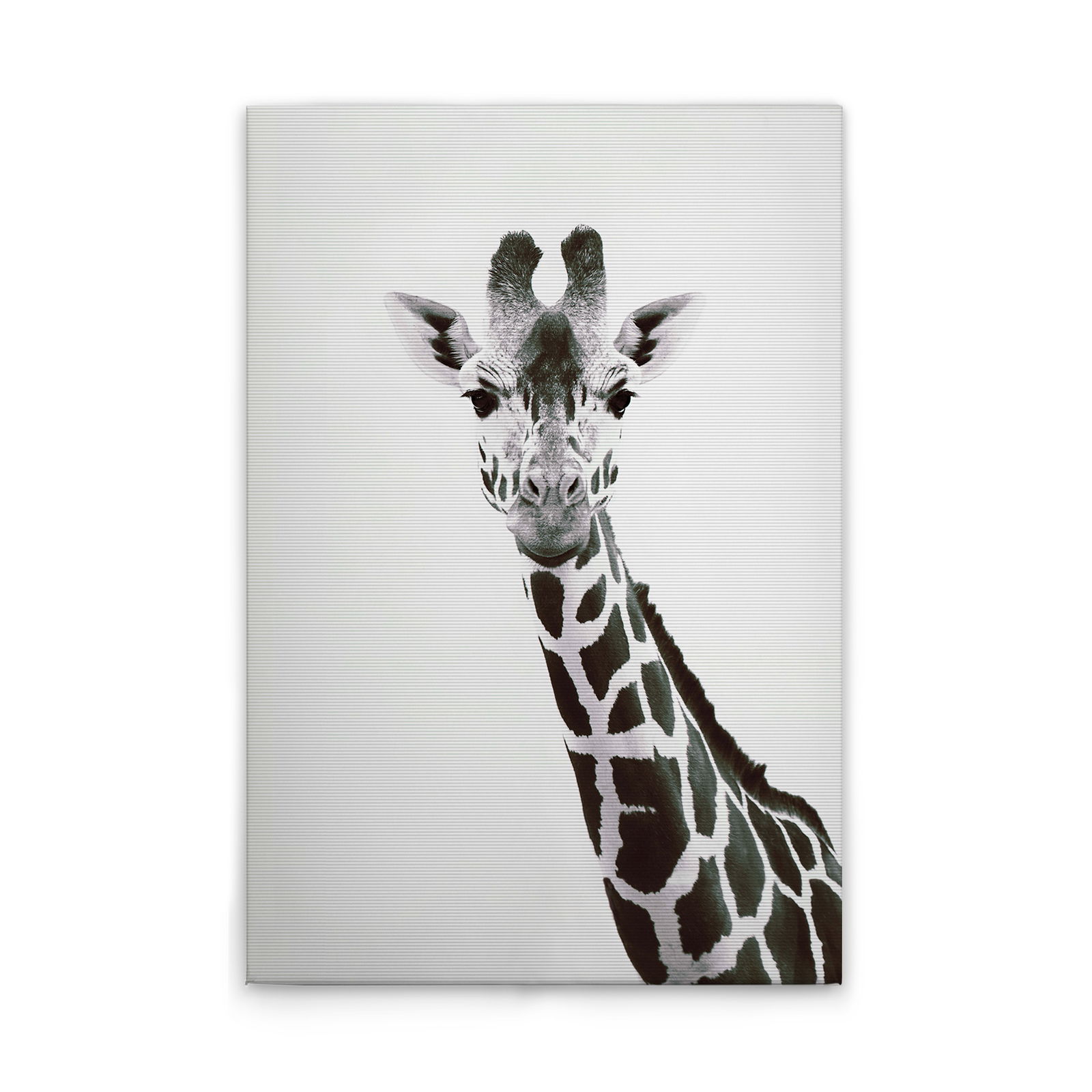 livingwalls tableau sur toile ARTist