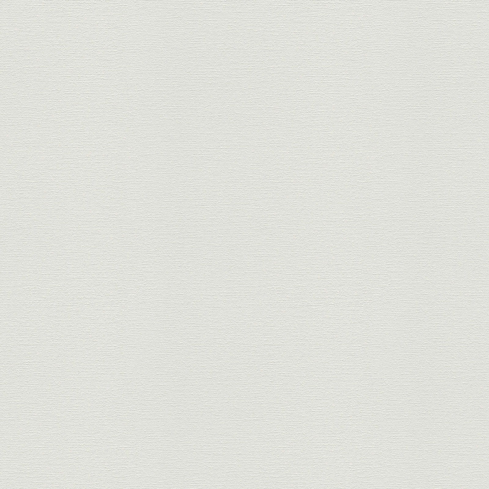 A.S. Création Tapete Meistervlies Create A.S. Création Tapete Meistervlies Create