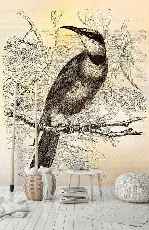 walls by patel Fotobehang Walls by Patel walls by patel Fotobehang Walls by Patel