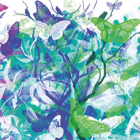 Architects Paper impression numérique AP Digital