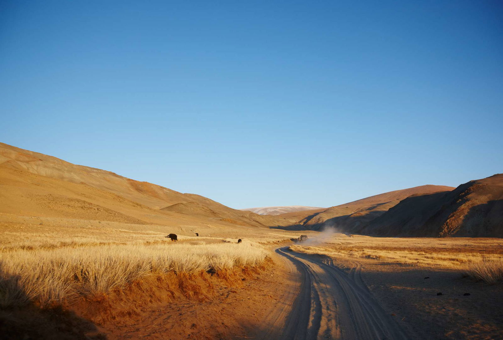 Architects Paper impression numérique AP Digital