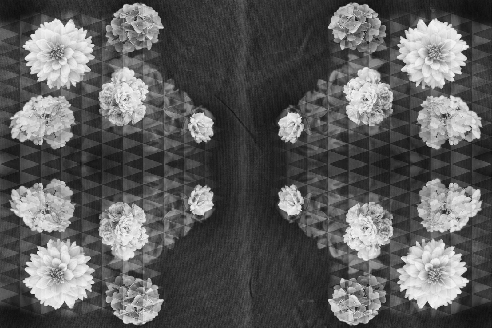 Architects Paper Fototapete AP Digital 4
