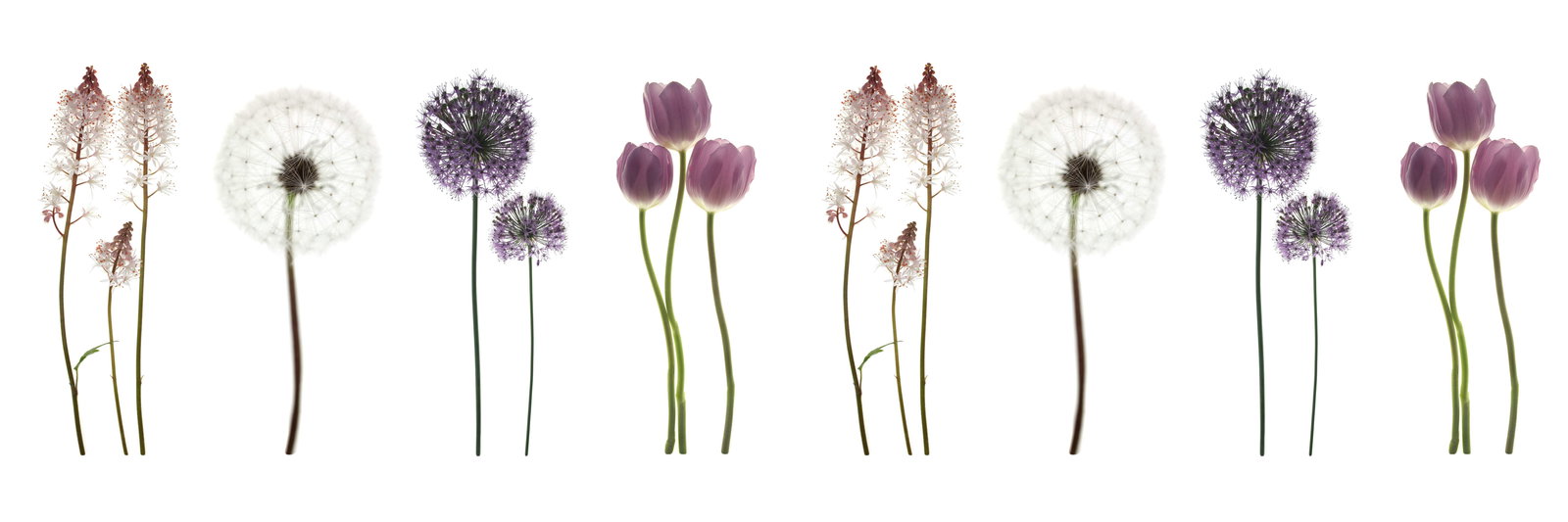 livingwalls Fototapete Nature