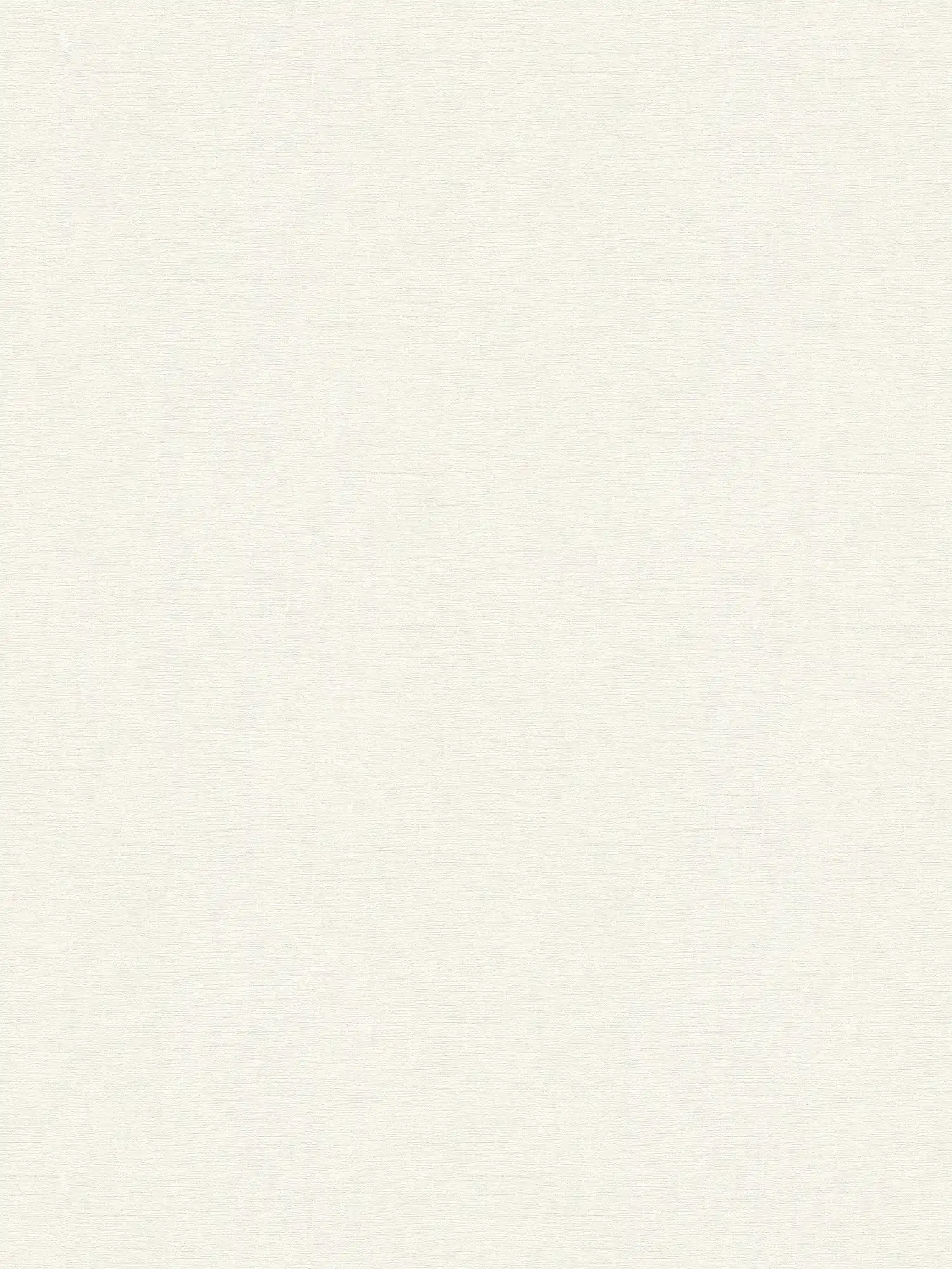 A.S. Création Tapete Shades of White A.S. Création Tapete Shades of White