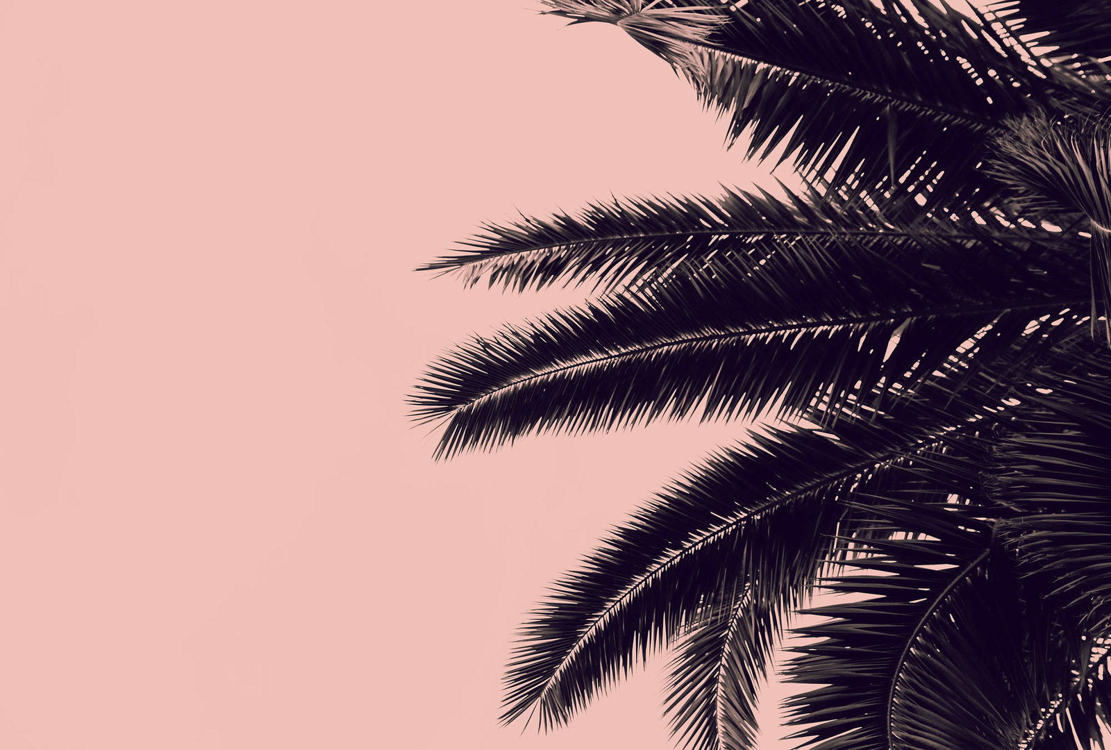 livingwalls Photo wallpaper ARTist