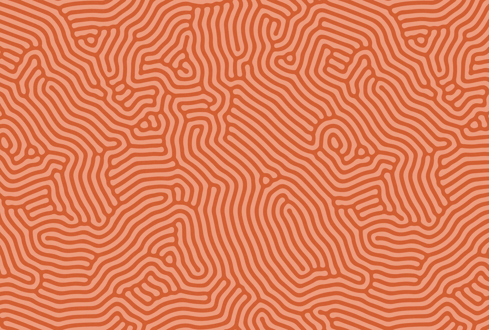 walls by patel Фотообои Walls by Patel 3