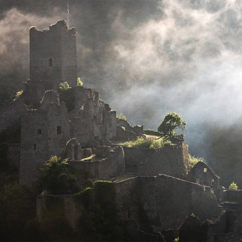 livingwalls Фотообои XXLwallpaper 2