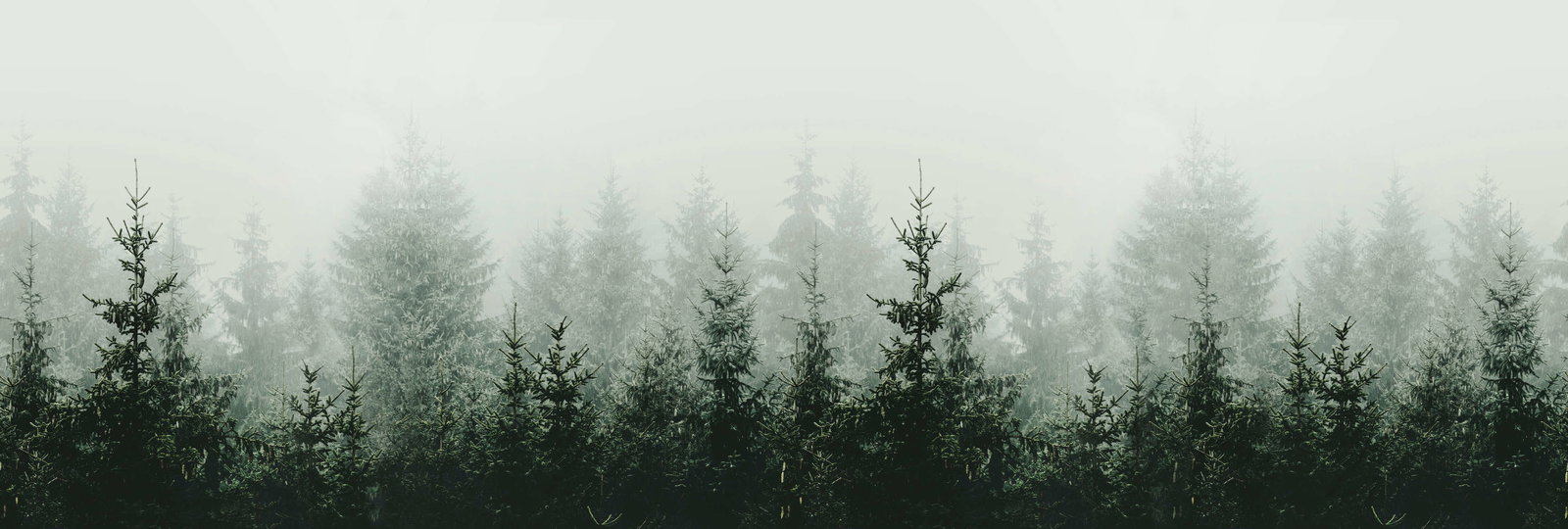 livingwalls Фотообои ARTist